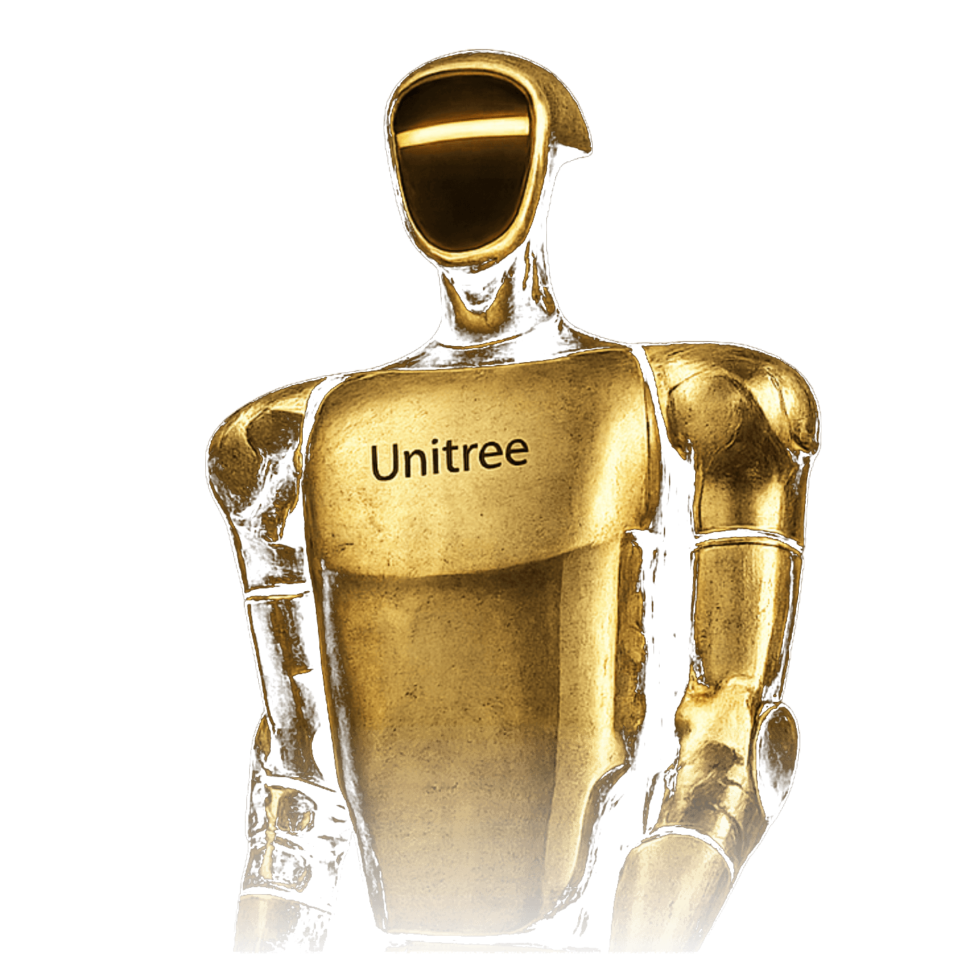 RoboCollective humanoid robot